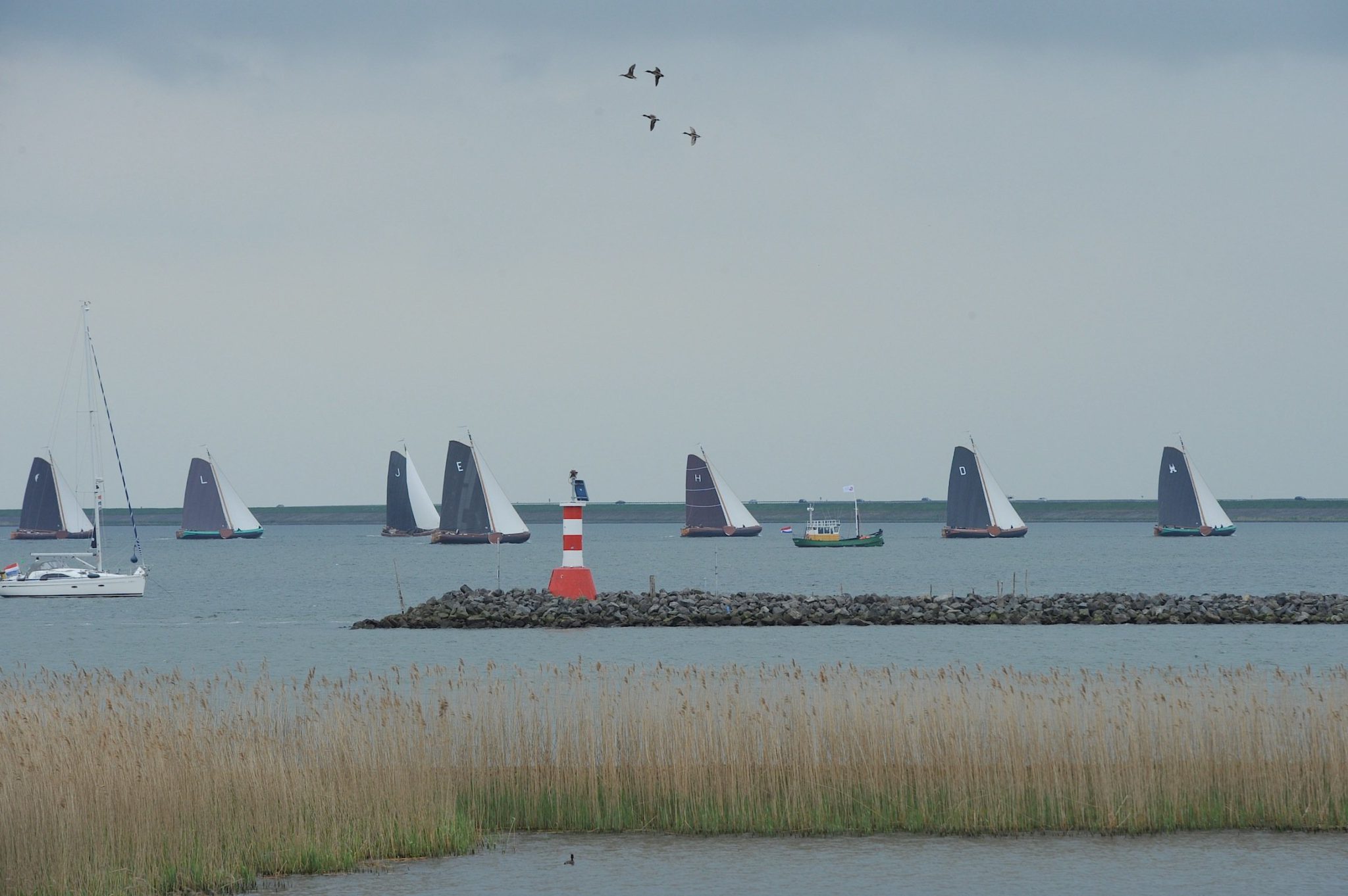 Bijzondere wedstrijd Zuiderzeemuseum