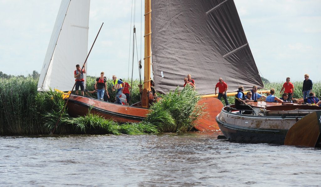 Grou raakte verstrikt in het riet