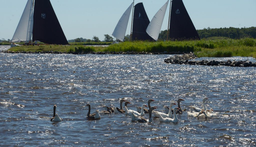 Skûtsjes oefenen op nieuwe vaarwater bij Grou