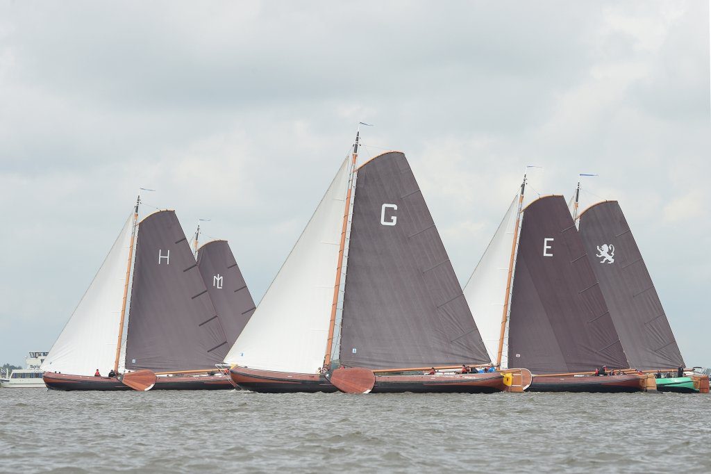 Grou in het eerste kruisrak op de Langwarder Wielen